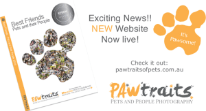 PAWtraits website