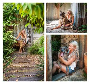 Dutch Shepherd x Mastiff - PAWtraits Pet Photography Melbourne