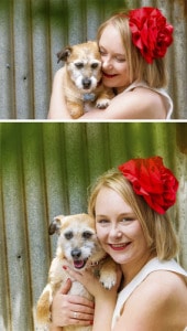 Jack Russell X - PAWtraits Pet Photography Melbourne