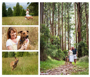 Rhodesian Ridgeback - PAWtraits Pet Photography Melbourne