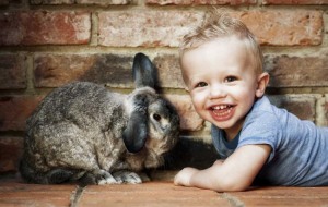 Rabbit - PAWtraits Pet Photography - Melbourne