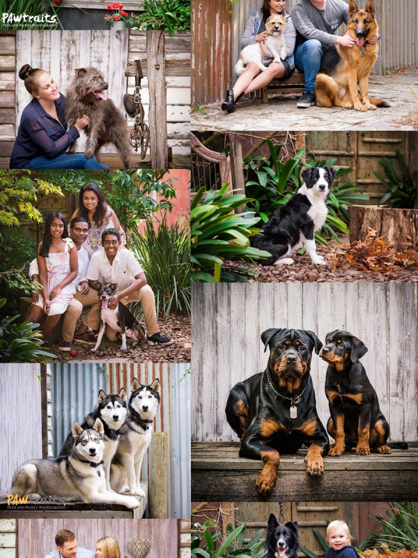 Tips for your Pet’s photo shoot