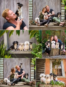 multiple dogs family
