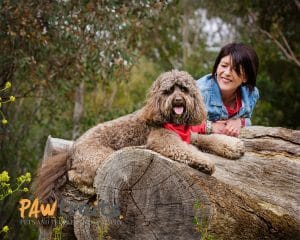 Best Dog Photography - Melbourne