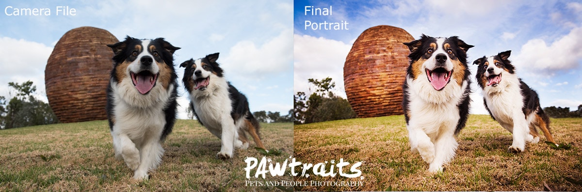 Digital file vs Final Portrait