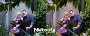 PAWtraits Digital vs Print