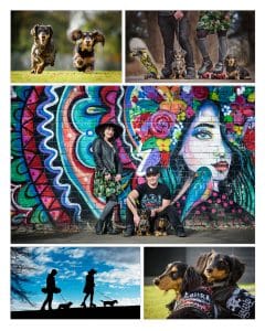 Melbourne Pet Photography